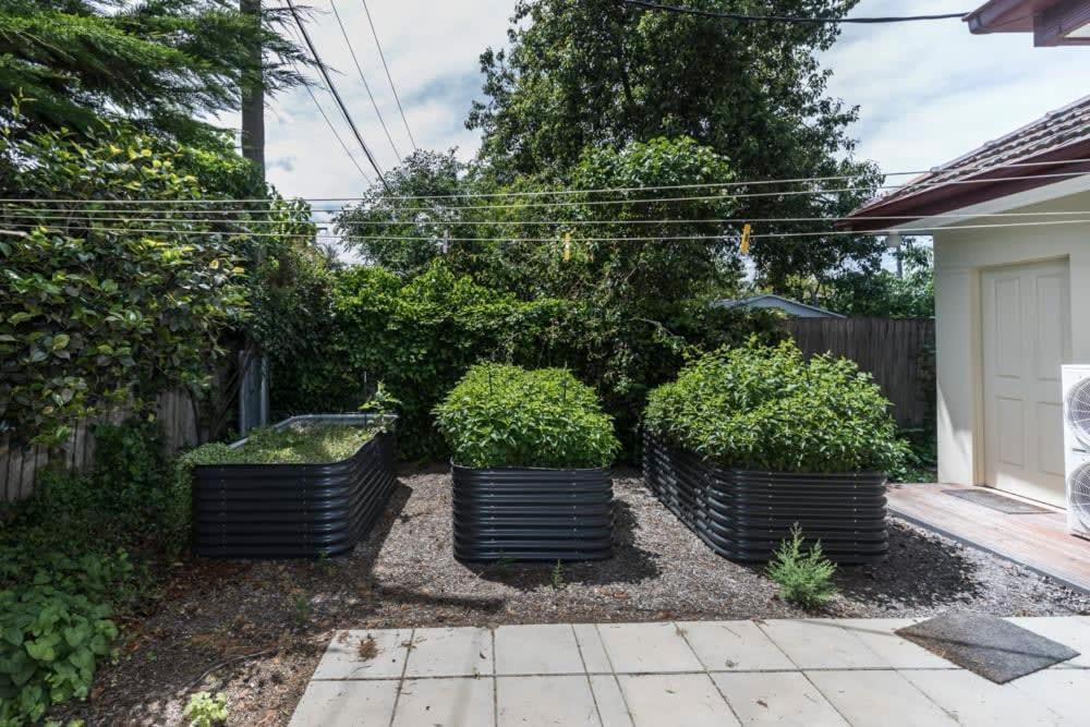 3 Bdrm 2 Bthrm House Close To Canberra Cbd & Anu Exterior foto